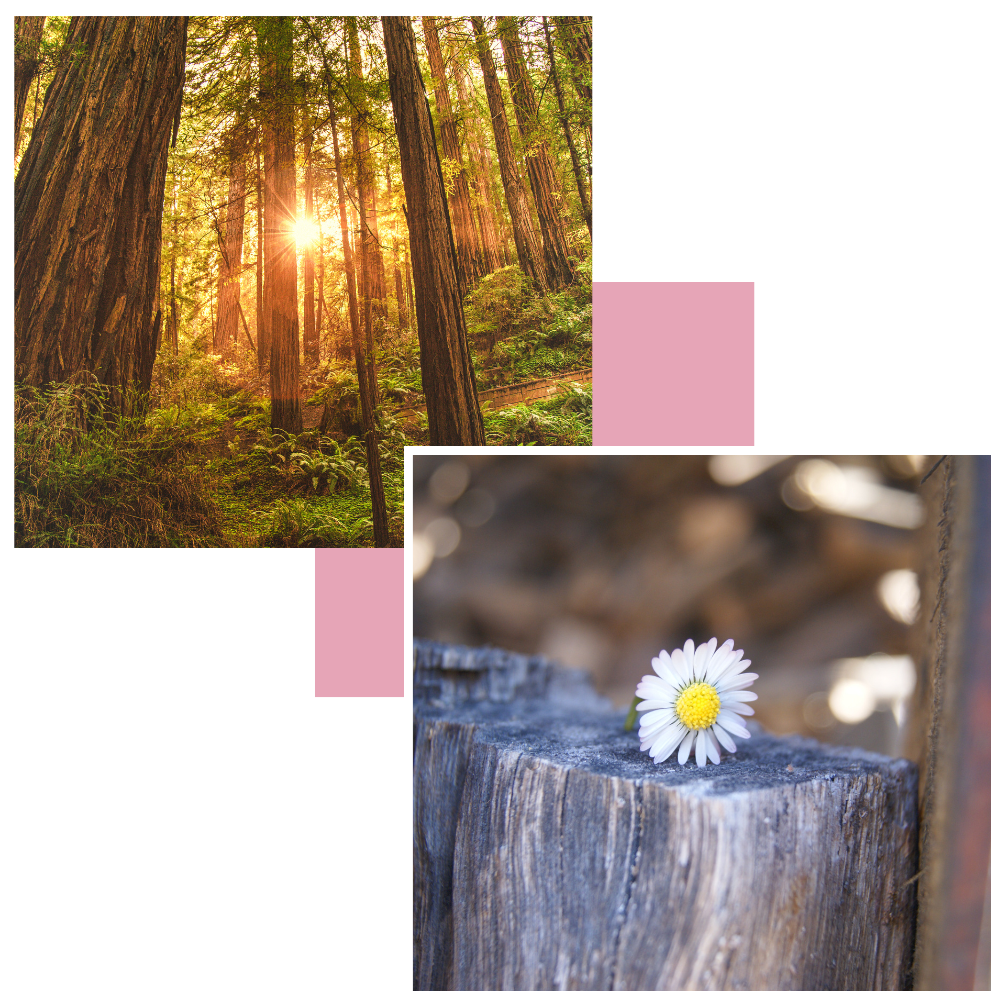 Hulp voor jongeren die uitbehandeld zijn