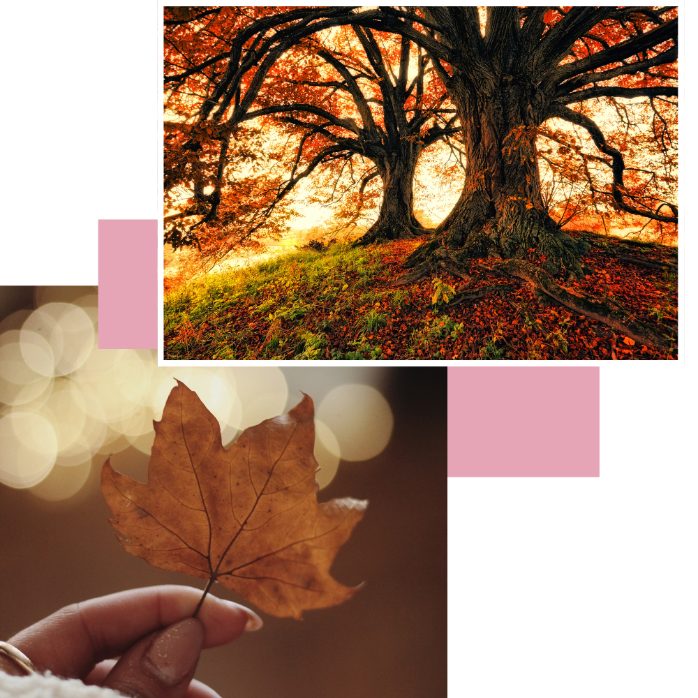 Bij De Adolescenten Specialist bied ik kleinschalige, specialistische geestelijke gezondheidszorg voor jongeren tussen de 16 en 26 jaar met complexe psychische problematiek.