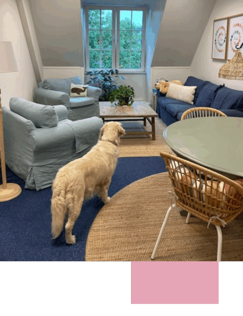 Psychotherapie en klinisch psycholoog praktijk regio Apeldoorn-Zutpen en regio Midden-IJssel